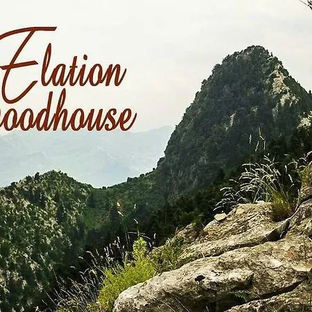 Apartament Elation Woodhouse Zewnętrze zdjęcie