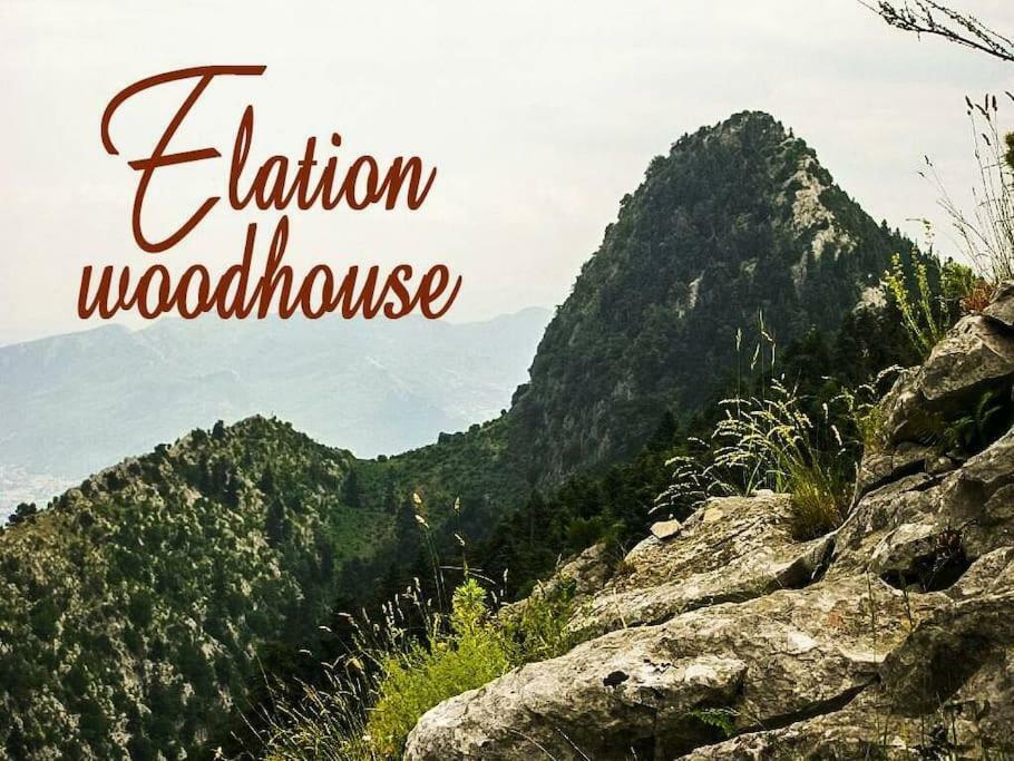 Apartment Elation Woodhouse *